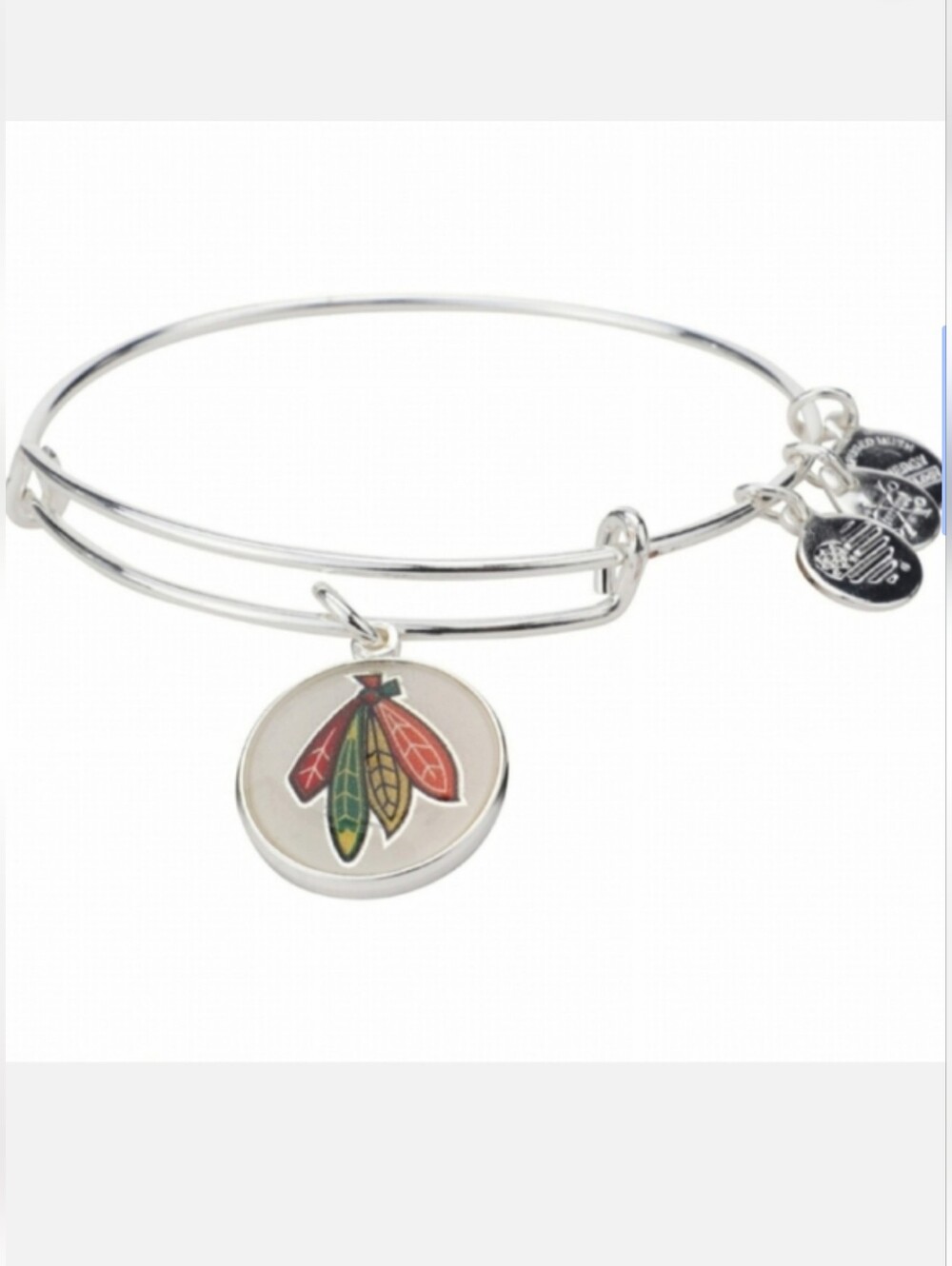 NWT Alex and Ani Chicago Blackhawks Charm Bracelet
